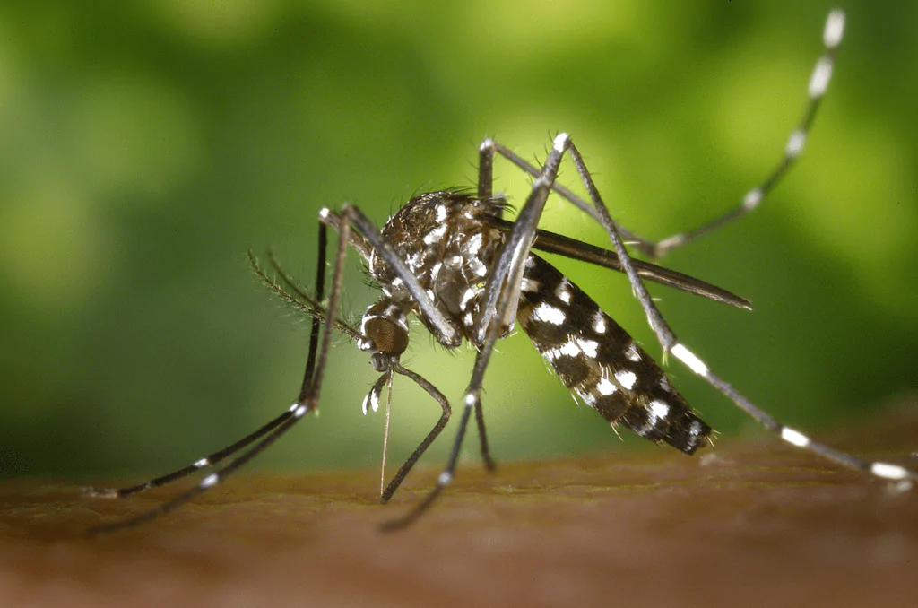 Governos de Goiás e do DF lançam ação contra ‘Aedes’ em Luziânia