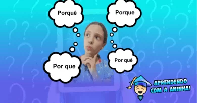 Aprendendo com Aninha, o uso dos porques