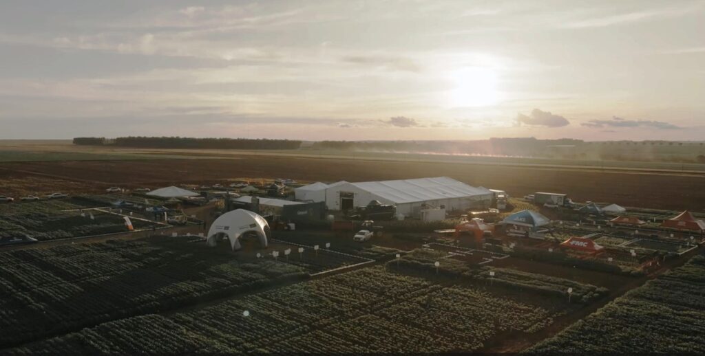 Evento no Centro-Oeste levará produtores brasileiros de algodão para imersão na cultura