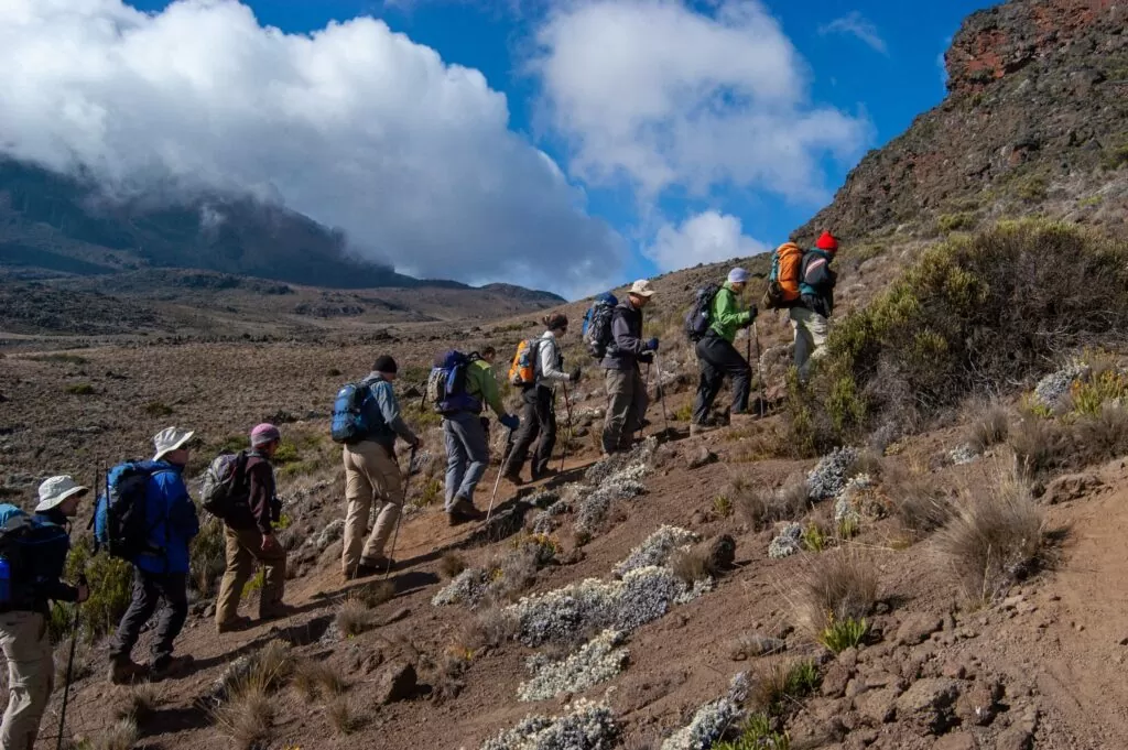 Monte Kilimanjaro em Arusha, Tanzânia