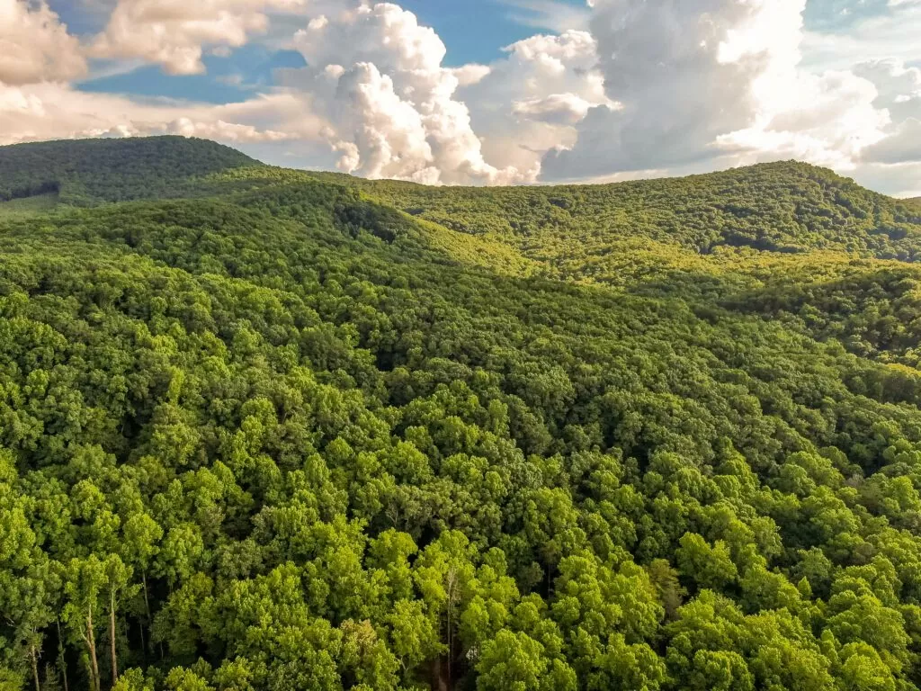 Springer Mountain em Ellijay, Estados Unidos