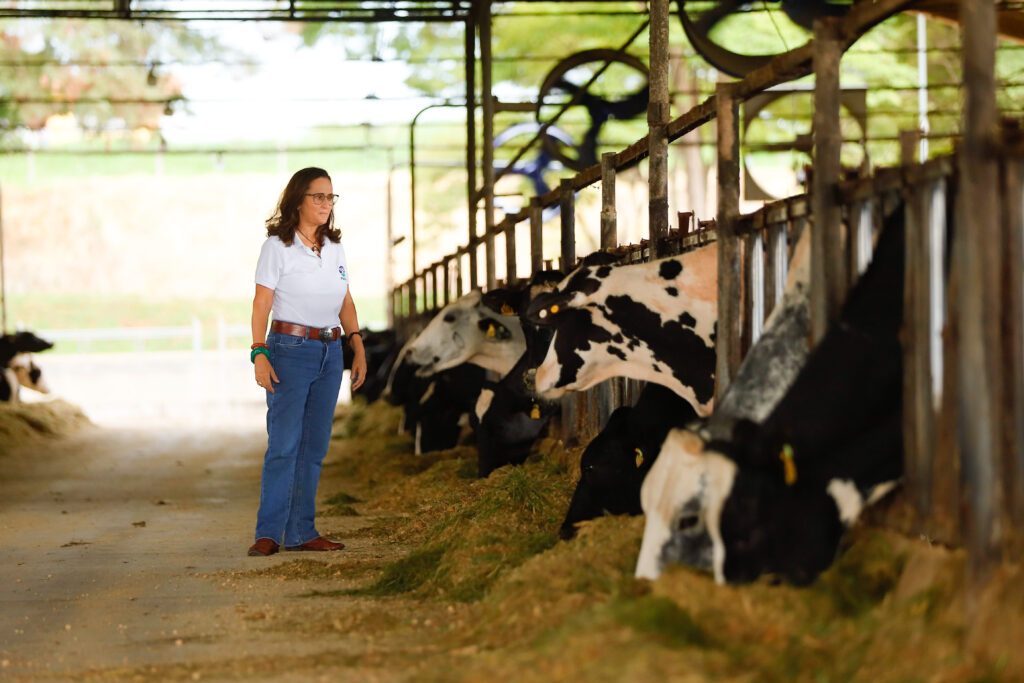 Propriedade em Luziânia (GO) alcança eficiência na gestão e sanidade do rebanho com auxílio da tecnologia