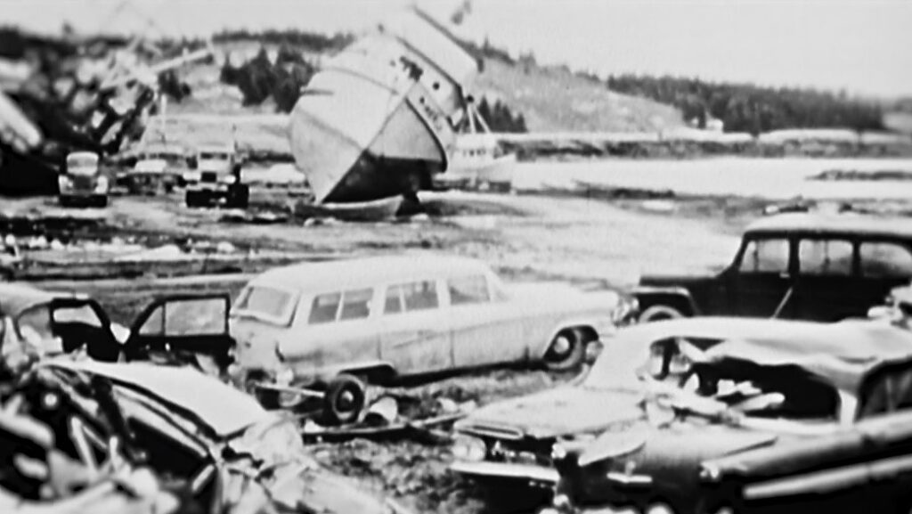 Casos enigmáticos da natureza