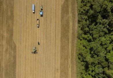 CRA verde em dólar é alternativa de investimento para fomentar a produção sustentável do agro brasileiro