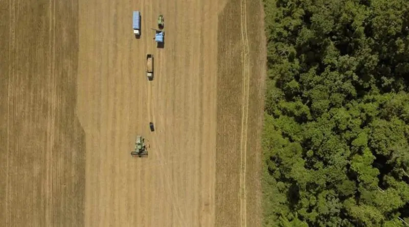 CRA verde em dólar é alternativa de investimento para fomentar a produção sustentável do agro brasileiro